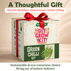 DIY Green Chilli Grow Kit
