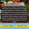 2 in1 Potting Mix