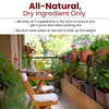 2 in1 Potting Mix