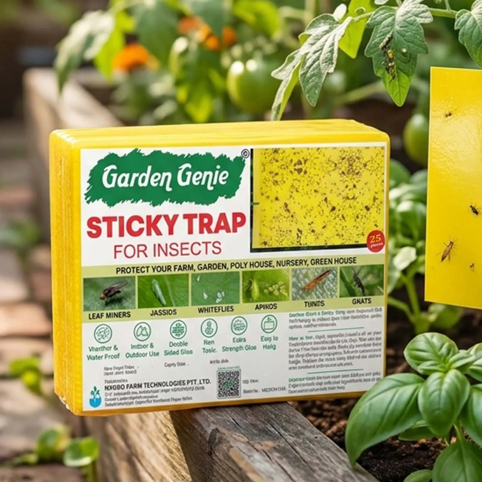 Sticky Traps