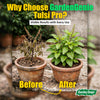 Tulsi Pro Liquid