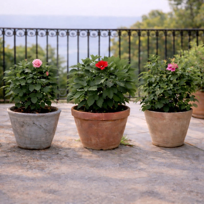 Less Flowering