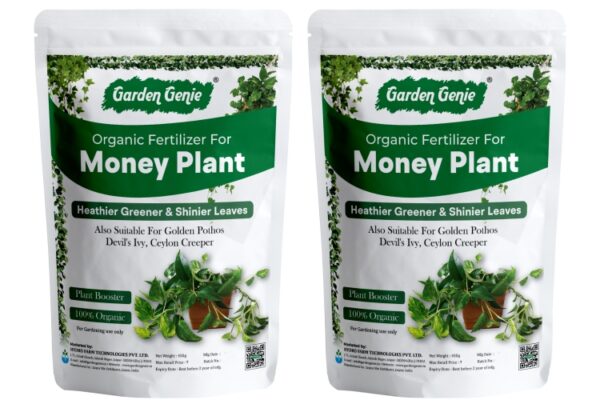 Money Plant Fertilizer