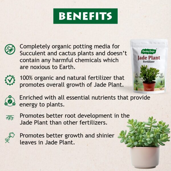 Benefits of Jade Plant Fertilizer