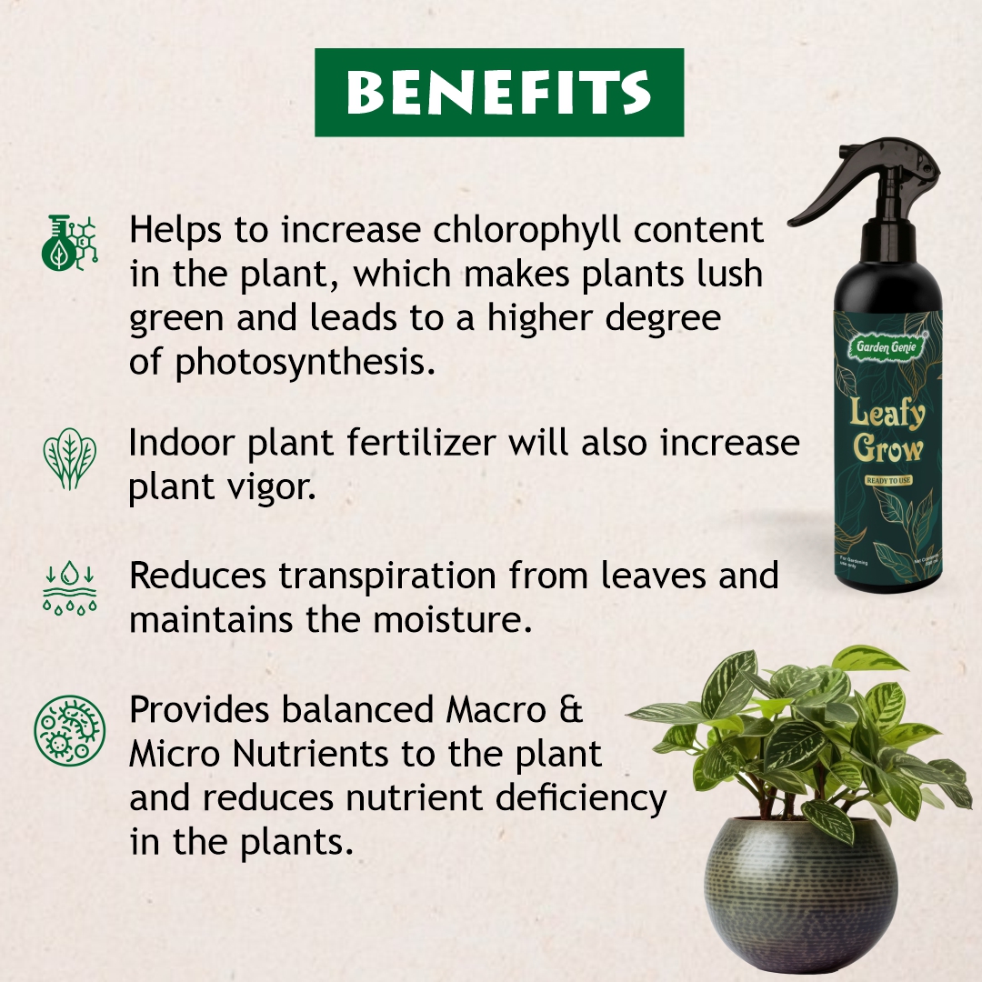 Benefits of Leafy Grow Spray