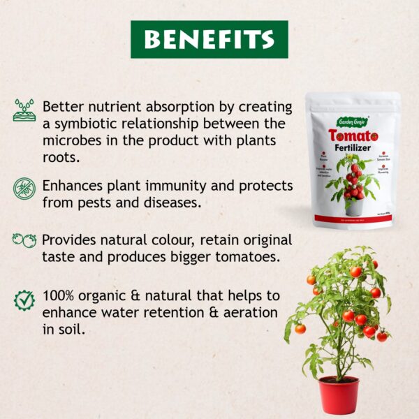 Benefits of Tomato Fertilizer