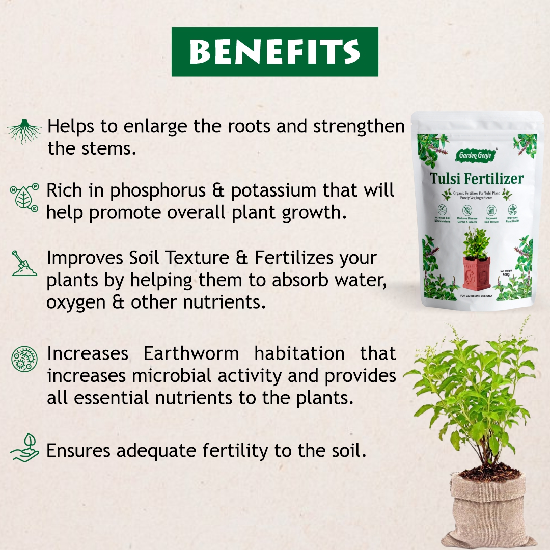 Benefits of Tulsi Fertilizer