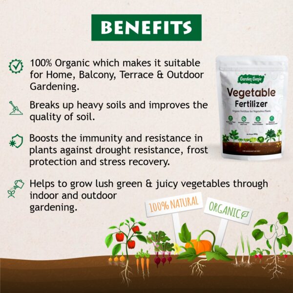 Benefits of Vegetable Fertilizer
