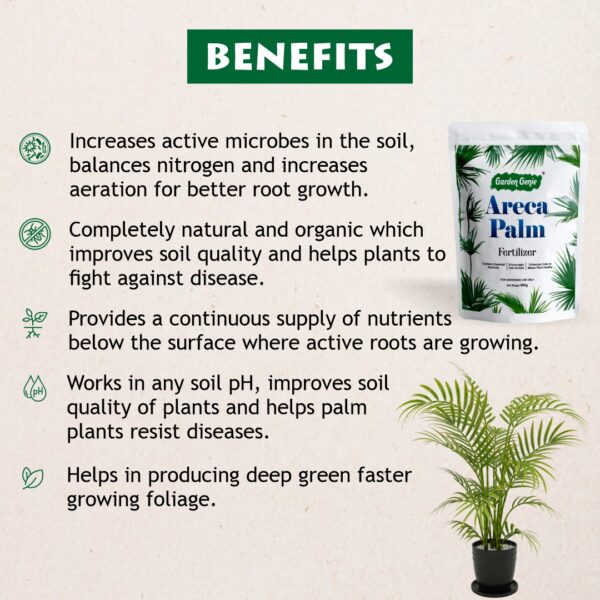 Benefits of Areca Palm