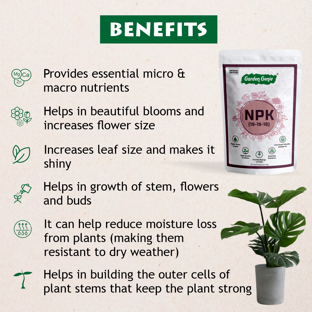 Benefits of NPK 19-19-19