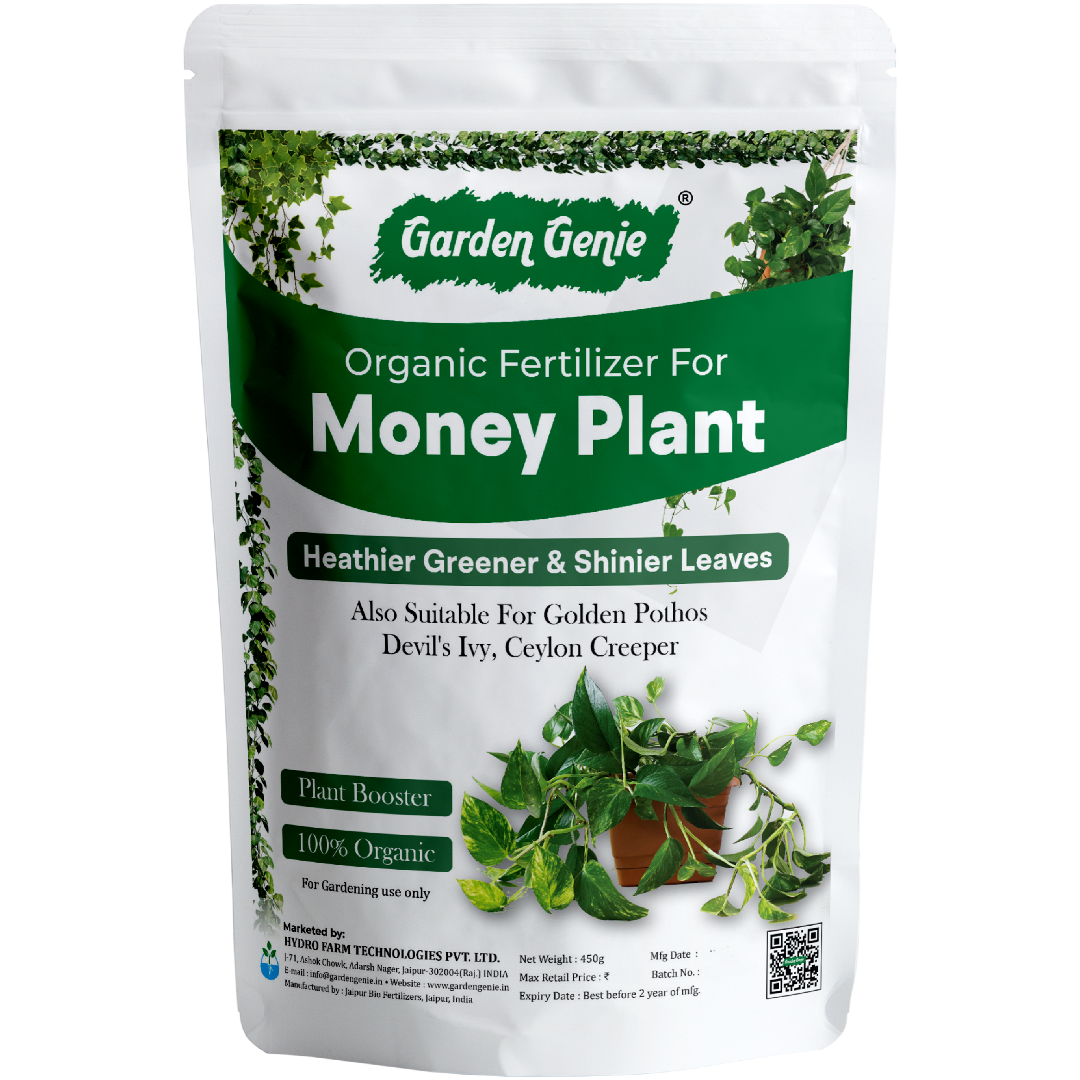450 gm Money Plant Fertilizer