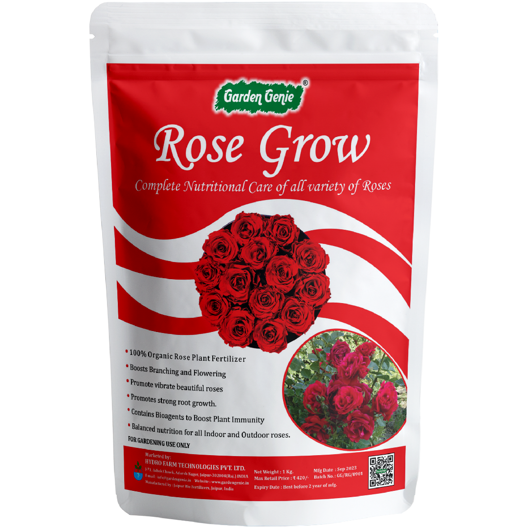 nutritional fertilizer for Rose growing