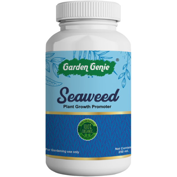 250 ml Seaweed